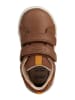Geox Sneakers "Hyroo" lichtbruin