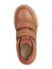 Geox Sneakers "Poseido" lichtbruin