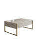 Scandinavia Concept Couchtisch "Luxe" in Grau/ Gold - (B)90 x (H)40 x (T)60 cm