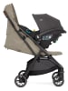 Joie Buggy "Pact Pro" in Grau