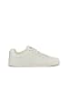 Polo Club Sneakers in Creme