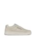 Polo Club Sneakers beige