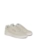 Polo Club Sneakers beige