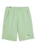 Puma Sweatshorts "ESS+ 2" in Grün