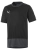 Puma Trainingsshirt "teamGOAL" in Schwarz