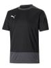 Puma Koszulka sportowa "teamGOAL" w kolorze czarnym