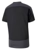 Puma Trainingsshirt "teamGOAL" in Schwarz