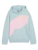 Puma Hoodie "Power" lichtblauw