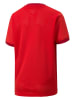 Puma Trainingsshirt "teamGOAL" in Rot