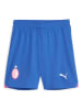 Puma Trainingsshorts "ACM" in Blau