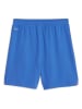 Puma Trainingsshorts "ACM" in Blau