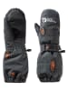 Jack Wolfskin Functionele wanten "Gleely" grijs