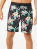 Rip Curl Szorty kąpielowe "Mirage Pacific Rinse" ze wzorem