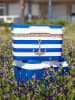Joybos Koelbox blauw/wit - 5 l