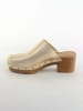 Bellucci Clogs in Gold