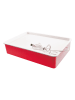 BLS Lightbox meerkleurig