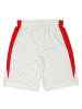 Nike Trainingsshort wit/rood