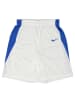 Nike Trainingsshort wit/blauw