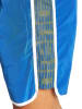 Arena Badeshorts in Blau