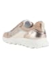 Geox Leren sneakers "Spherica" beige/wit/goudkleurig