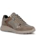 Geox Leder-Sneakers "Alleniee" in Hellbraun