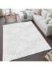 CARPET DIEM Laagpolig tapijt grijs/wit