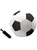 PINAO 2tlg. Mesh Ball-Set mit Ballpumpe - ab 3 Jahren (Überraschungsprodukt)