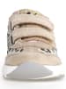 Naturino Leder-Sneakers "Jesko 2" in Beige/ Gold