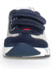 Naturino Leren sneakers "Jesko 2" donkerblauw/kaki/crème