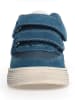 Naturino Leren sneakers "Hess" donkerblauw/lichtbruin