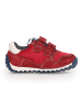 Naturino Leder-Sneakers "Sammy 2" in Rot