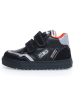 Naturino Leren sneakers "Ariton" zwart