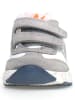 Naturino Leder-Sneakers "Jesko 2" in Grau/ Blau/ Weiß