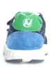 Naturino Leren sneakers "Jesko 2" donkerblauw/groen