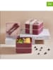 Violeta Home 2tlg. Set: Lunchbox in Pink - (B)14 x (H)14 x (T)5 cm