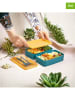 Violeta Home 2tlg. Set: Lunchbox in Blau/ Gelb - (B)18,5 x (H)11 x (T)5 cm