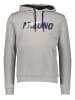 Mizuno Hoodie "Mizuno" grijs