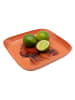 Kare Tablett "Ego Walrus" in Orange - (L)21 x (B)21 cm
