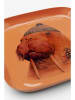 Kare Tablett "Ego Walrus" in Orange - (L)21 x (B)21 cm