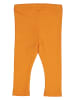 Fred´s World by GREEN COTTON Legging "Alfa" oranje