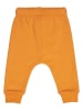 Fred´s World by GREEN COTTON Spodnie dresowe w kolorze pomarańczowym