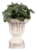 Clayre & Eef Bloempot beige - (H)20 x Ø 18 cm