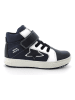 Primigi Leren sneakers donkerblauw