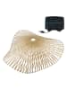 lumisky Ledsolarlamp "Laia" goudkleurig - Ø 80 cm