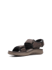 Clarks Sandalen "Wesley Bay" in Braun
