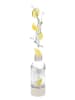 Berlinger Haus 3tlg. Wassersprudler-Set in Creme