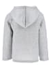 Spiderman Sweatjacke "Spiderman" in Grau