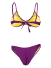 Arena Bikini paars