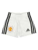 adidas Trainingsanzug "Manchester United" in Rot/ Schwarz/ Weiß