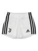 adidas Strój sportowy "Juve" w kolorze biało-czarnym
